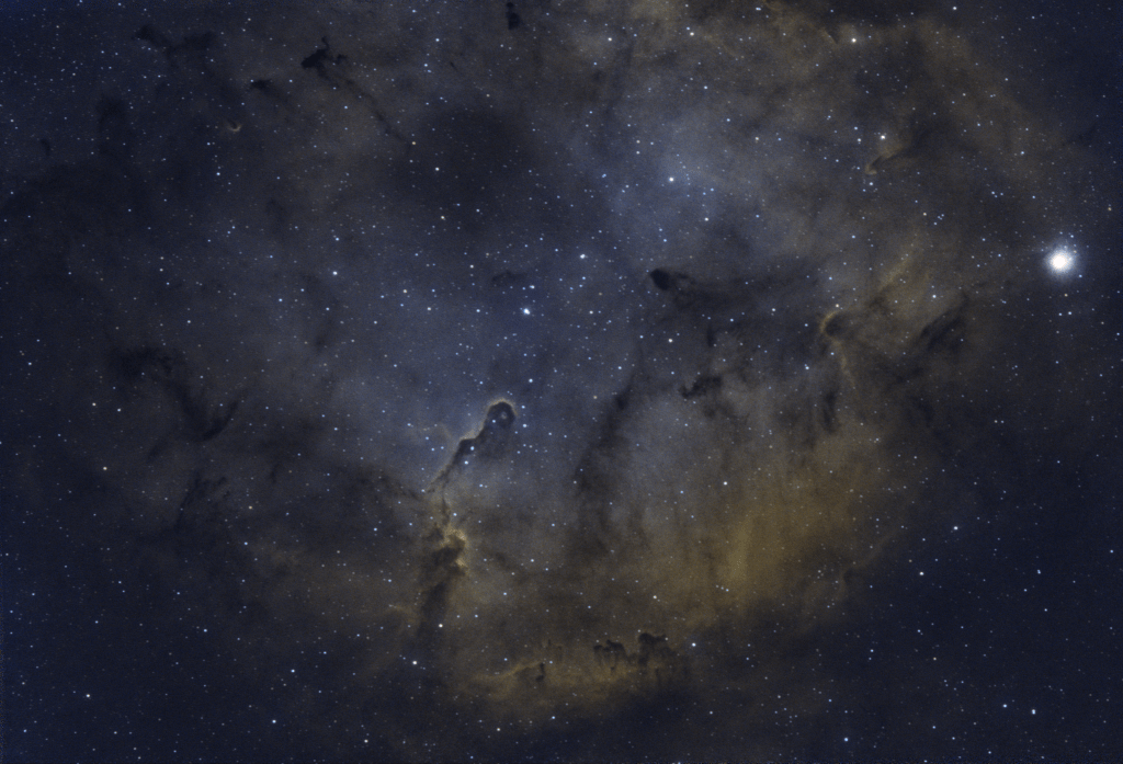 Elephant Trunk Nebula