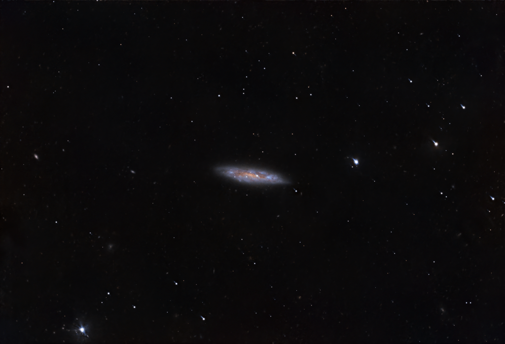 The Surfboard Galaxy